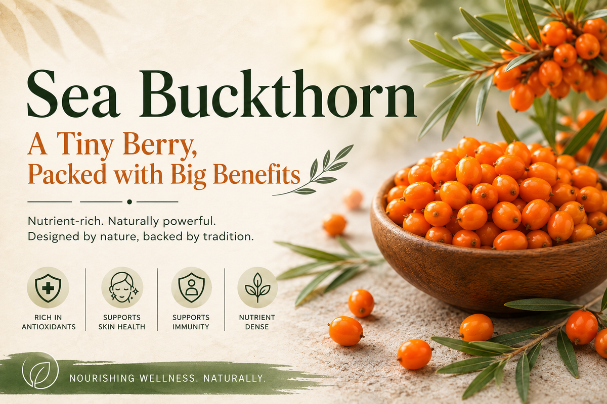 Sea Buckthorn: Nature’s Nutrient-Rich Superfruit and Its Uses