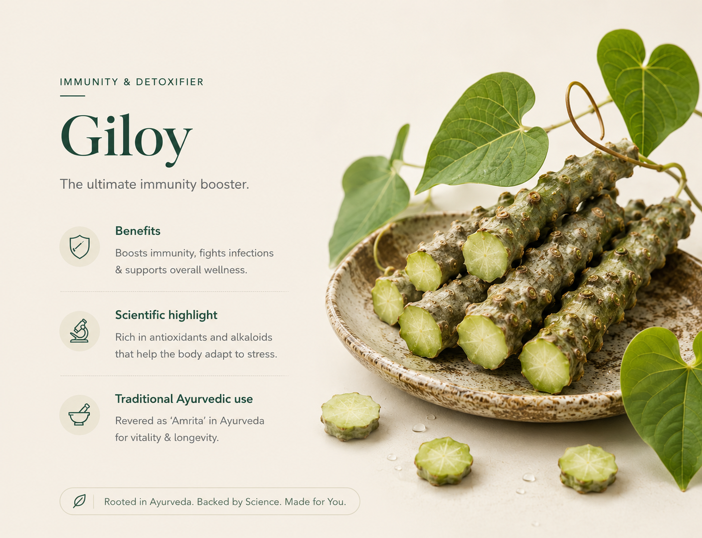 Giloy